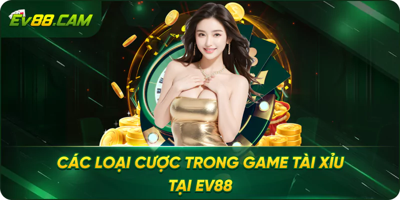 Các Loại Cược Trong Game Tài Xỉu Tại EV88